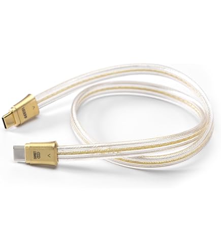 Amazon.co.jp: DD ddHiFi TC19LL USB-C ケーブル OTG オーディオ